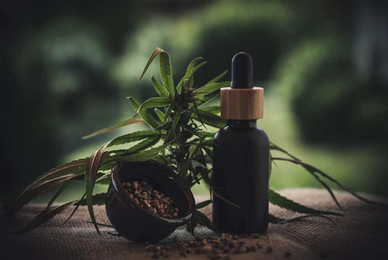 estratti di cbd cosa sono e differenze con la cannabis light da Anteprima24.it estratti di cbd cosa sono e differenze con la cannabis light