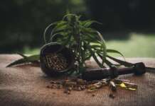 Come si è evoluto il mercato del CBD in Italia e come scegliere lo shop giusto