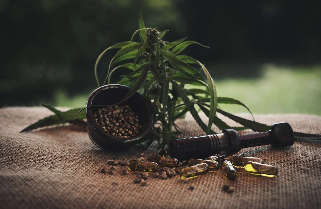 come si 232 evoluto il mercato del cbd in italia e come scegliere lo shop giusto da Anteprima24.it come si 232 evoluto il mercato del cbd in italia e come scegliere lo shop giusto