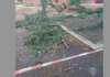 Rione Parco, spazi per bambini del degrado: la denuncia