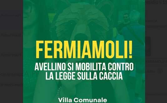 “Fermiamoli”, Avellino si mobilita contro la caccia: l’appello