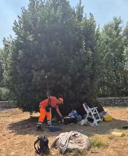 benevento via tomaselli intervento per il senza fissa dimora dopo l8217appello dei cittadini da Anteprima24.it benevento via tomaselli intervento per il senza fissa dimora dopo l8217appello dei cittadini