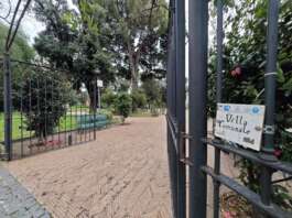 Turiste aggredite in centro: la dinamica della notte di paura a Salerno