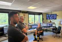 Nidi di vespe e calabroni, i Vigili del Fuoco: “Interventi solo per reali emergenze”