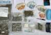 Spaccio di droga, preso pusher grazie a youpol