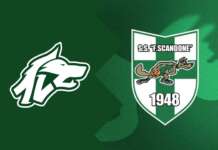 Basket, Scandone e Halley conoscono gli avversari