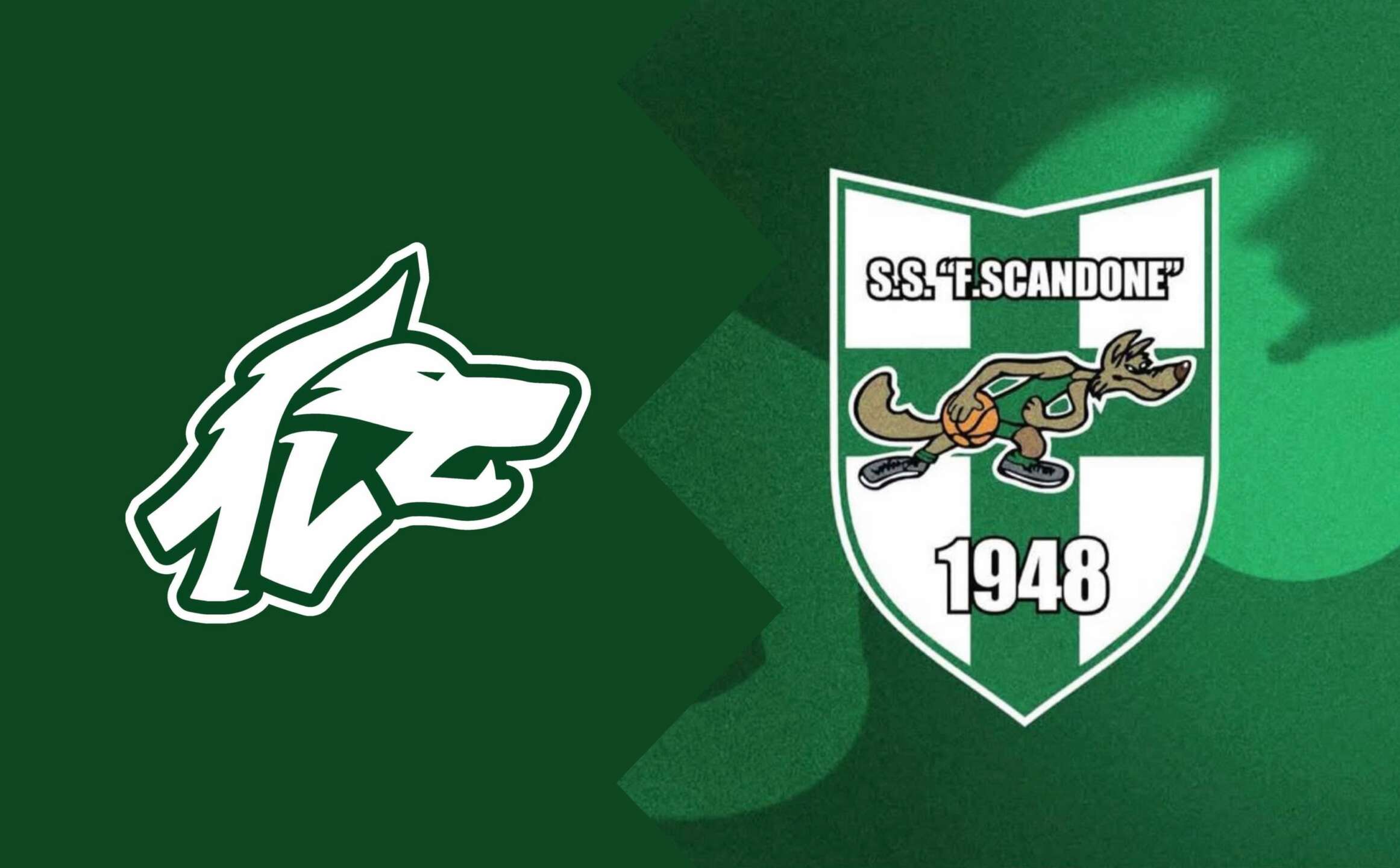 basket scandone e halley conoscono gli avversari da Anteprima24.it basket scandone e halley conoscono gli avversari