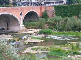 Moria di pesci nel fiume Calore: racconto e verità scientifica Fiume calore