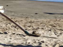 VIDEO/ Evacuata la spiaggia di Mercatello: ritrovato ordigno bellico