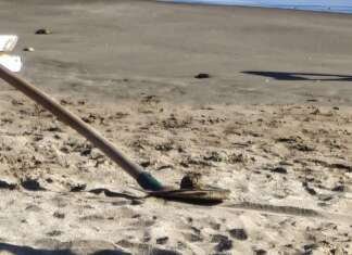 VIDEO/ Evacuata la spiaggia di Mercatello: ritrovato ordigno bellico