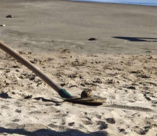 VIDEO/ Evacuata la spiaggia di Mercatello: ritrovato ordigno bellico