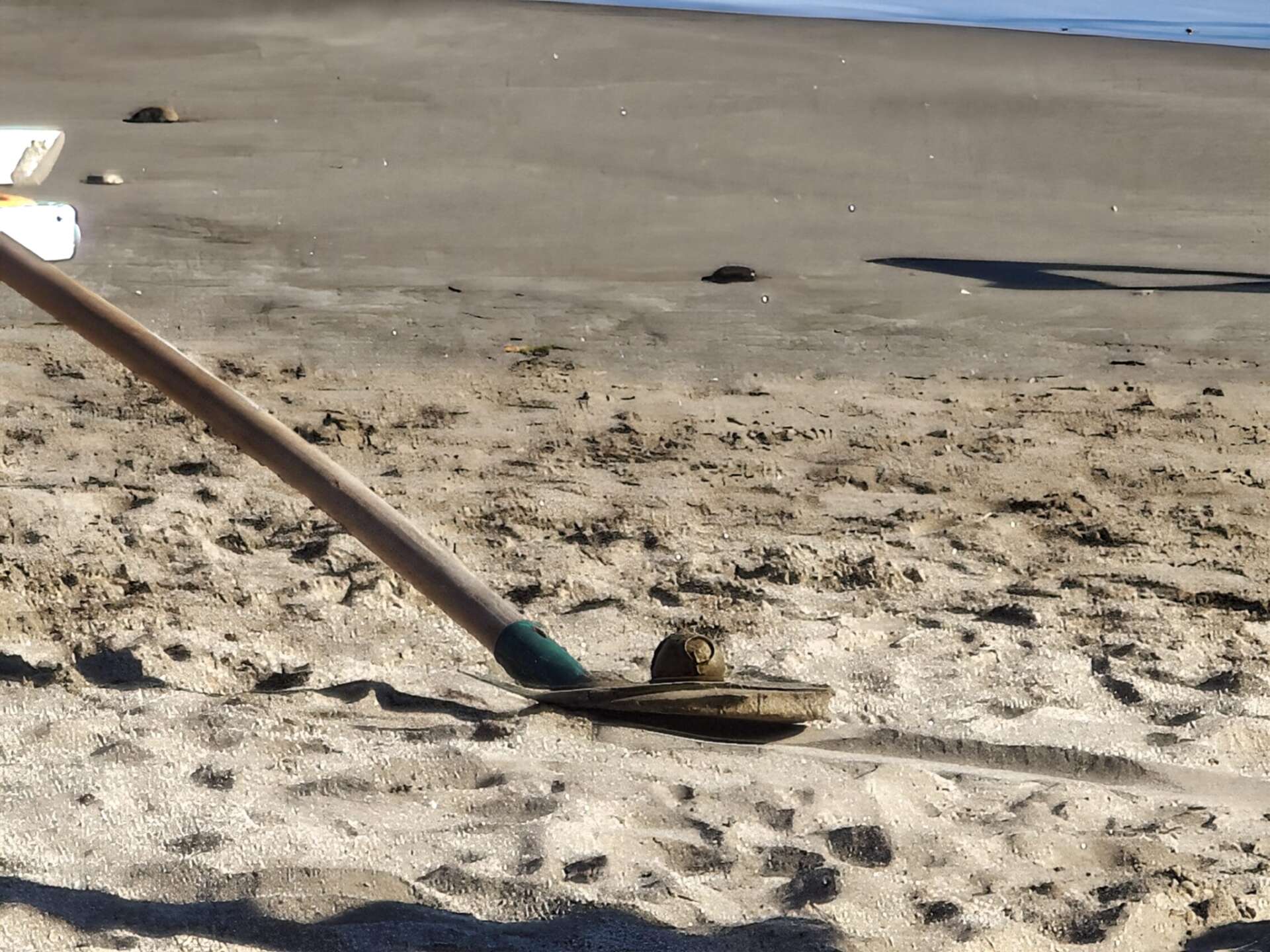 VIDEO/ Evacuata la spiaggia di Mercatello: ritrovato ordigno bellico VIDEO/ Evacuata la spiaggia di Mercatello: ritrovato ordigno bellico