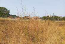 Soccavo Pianura, Sos verde abbandonato in rioni Erp: “Una savana, ma servizio addebitato in bolletta”