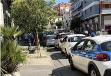 Napoli, giardiniere privato pota albero pubblico all’Arenella: sanzionato via Niutta, Napoli