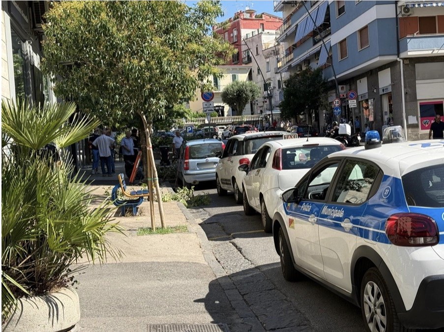 napoli giardiniere privato pota albero pubblico all8217arenella sanzionato da Anteprima24.it napoli giardiniere privato pota albero pubblico all8217arenella sanzionato