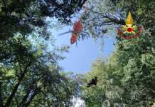 I Vigili del Fuoco salvano 19 scout dispersi sul Monte Cerreto Elisoccorso, salvataggio gruppo scout 1