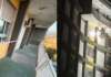 FOTO/ Battipaglia, nuove verifiche strutturali all’ospedale: dopo i due crolli scatta il piano di trasferimento dei reparti