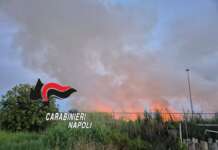 Brucia sterpaglie e scatena un incendio: distrutti 7 ettari di vegetazione, arrestato 52enne