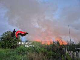 Brucia sterpaglie e scatena un incendio: distrutti 7 ettari di vegetazione, arrestato 52enne