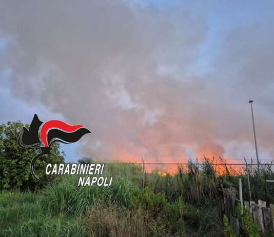 Brucia sterpaglie e scatena un incendio: distrutti 7 ettari di vegetazione, arrestato 52enne