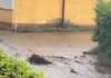 Fango sulle strade e alberi sulle auto: il maltempo lascia il segno maltempo irpinia
