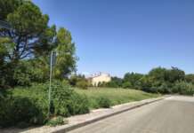 Pacevecchia, dal degrado a un parco per il quartiere: la proposta che parte dai cittadini