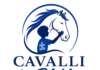 Autismo e equitazione: al via il progetto “Cavalli in Blu” del Dott. Claudio Belardo