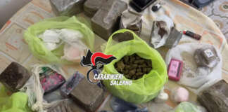 Blitz dei carabinieri nel Salernitano, droga anche nella cuccia del cane
