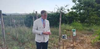 VIDEO/ Il Ministro Giuli a Poggiomarino a due mesi dai roghi: “Una ferita aperta”