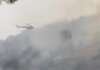 Incendio nella Pineta di Marina di Camerota: fiamme domate dopo ore di lavoro