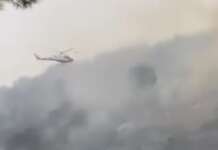 Incendio nella Pineta di Marina di Camerota: fiamme domate dopo ore di lavoro