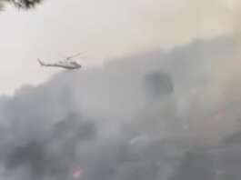 Incendio nella Pineta di Marina di Camerota: fiamme domate dopo ore di lavoro