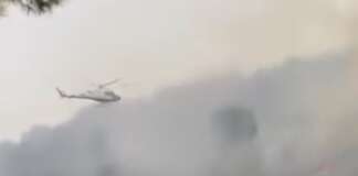 Incendio nella Pineta di Marina di Camerota: fiamme domate dopo ore di lavoro