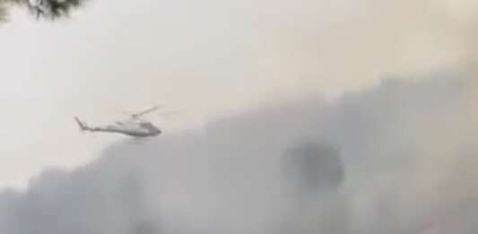 Incendio nella Pineta di Marina di Camerota: fiamme domate dopo ore di lavoro