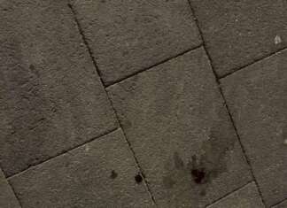 Lite tra stranieri in zona Santa Sofia: indagini in corso