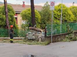Tromba d’aria nel Sannio: danni e disagi per la circolazione, diversi i danni