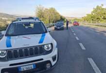 Strada Statale 90 Bis: controlli da parte della Polizia Municipale, 2 patenti ritirate