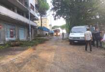 Albero crollato in via Meomartini, sopralluogo di De Pierro e strada chiusa