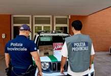 Oltre 200 volatili detenuti illegalmente in casa: sequestro della Polizia Provinciale