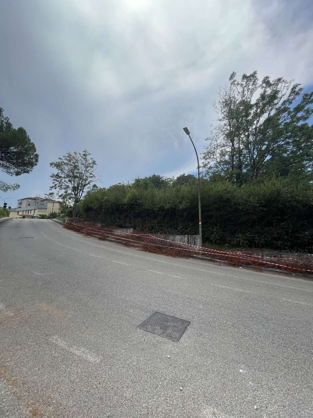 foto alberi tagliati e lasciati a seccare la segnalazione dei cittadini da Anteprima24.it foto alberi tagliati e lasciati a seccare la segnalazione dei cittadini