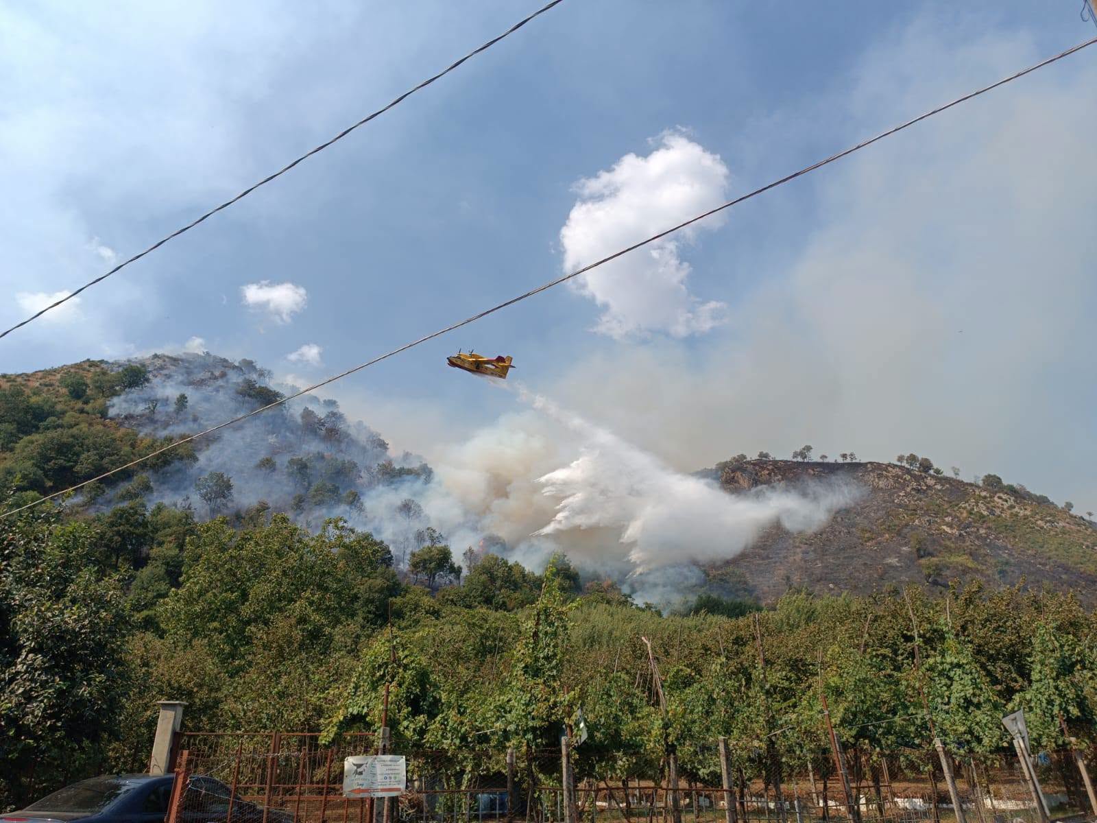 gli incendi invadono il montorese pugno duro del sindaco da Anteprima24.it gli incendi invadono il montorese pugno duro del sindaco