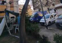 Benevento, topi morti e alberi pericolanti in via Meomartini: “Segnalazioni al Comune, ma siamo ancora così”