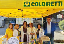 “Campagna Amica per la Salute” al Ruggi d’Aragona: folla agli stand della corretta alimentazione