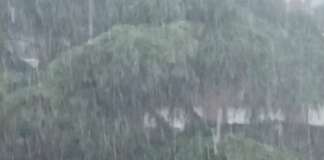 Campania, allerta meteo gialla: in arrivo temporali, grandine e raffiche di vento Pioggia