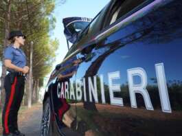 Pitbull strappa uno Yorkshire dalle braccia della padrona: il cagnolino muore, denunciato il proprietario