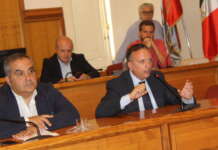 Miasmi e Calore, cittadini a caccia di risposte: in Consiglio è scontro maggioranza-opposizione