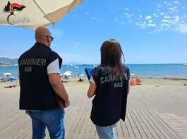 Insetti, muffa e carenze igieniche: i Nas sospendono 27 attività NAS