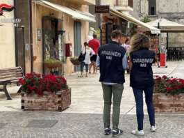 Insetti nei locali e prodotti a rischio: scatta lo stop dei Nas