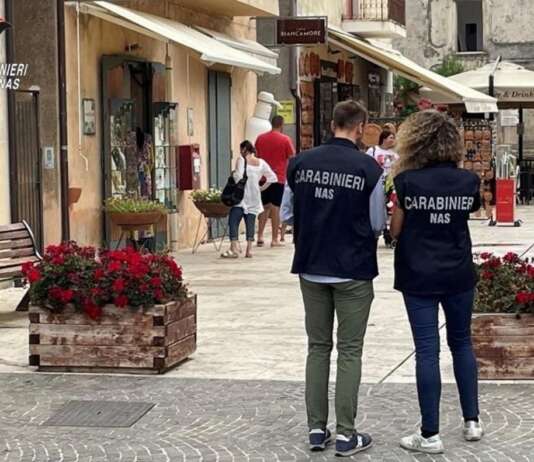 Insetti nei locali e prodotti a rischio: scatta lo stop dei Nas