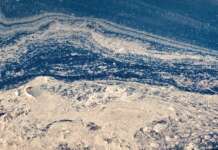 Illeciti a mare, alla Campania ennesima maglia nera